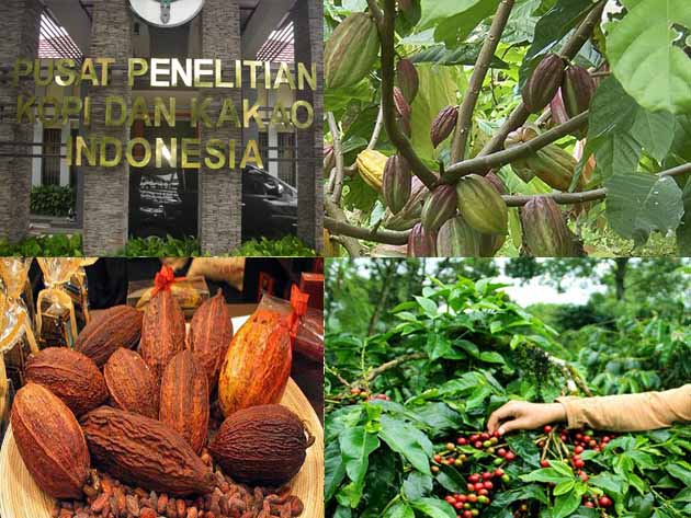 Pesona Pariwisata, Seni budaya &amp; Jendela inspirasi: Wisata Edukasi Di Puslit Koka Indonesia