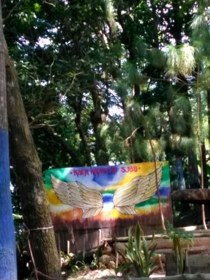 WhatsApp Image 2018-05-26 at 00.01.21