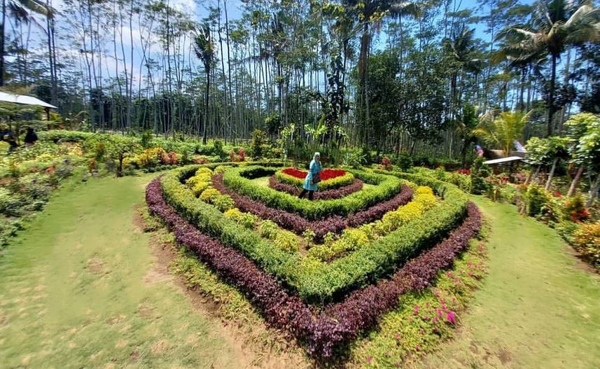 https: img.okezone.com content 2020 12 14 408 2327049 taman-bunga-gading-ledokombo-wisata-baru-memesona-di-pelosok-desa-bdPpmkmjPj.JPG