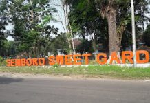 Semboro Sweet Garden