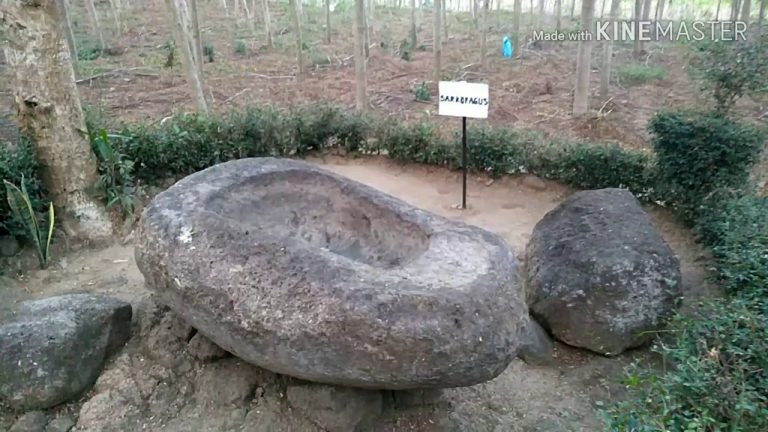 Situs Seputih Mayang